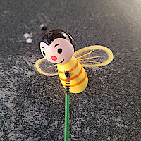 Unsere neue Mitarbeiterin Biene zeigt den Weg zu insektenfreundlichen Pflanzen.