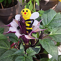 Unsere neue Mitarbeiterin Biene zeigt den Weg zu insektenfreundlichen Pflanzen.